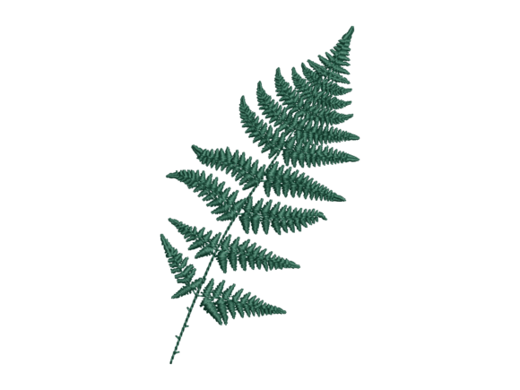 Fern Leaf Botanical Embroidery Review